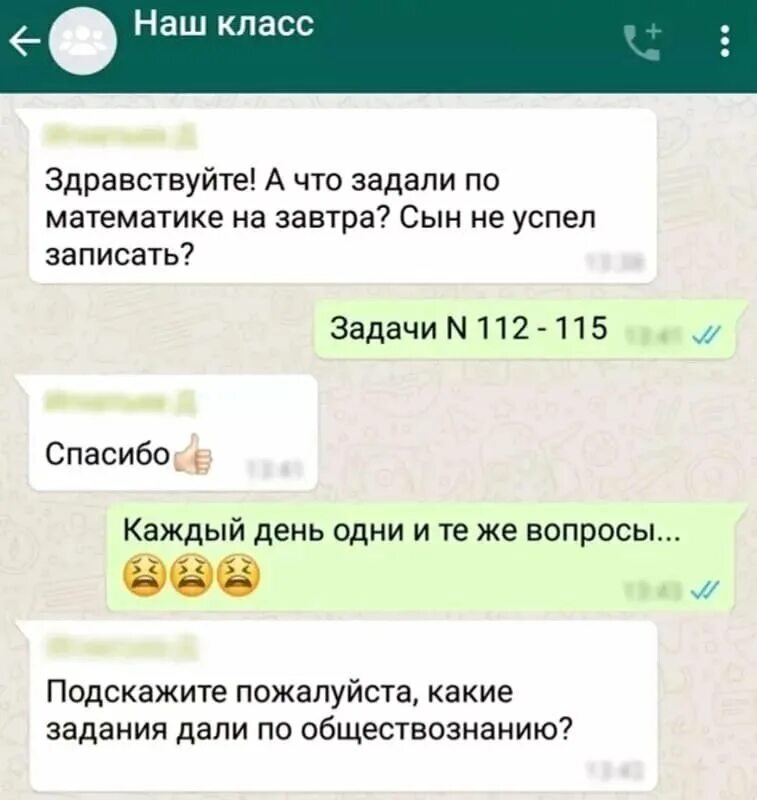 Родительский чат. Смешные родительские чаты. Переписки в родительских чатах. Переписки родителей в ватсапе. Школьные переписки