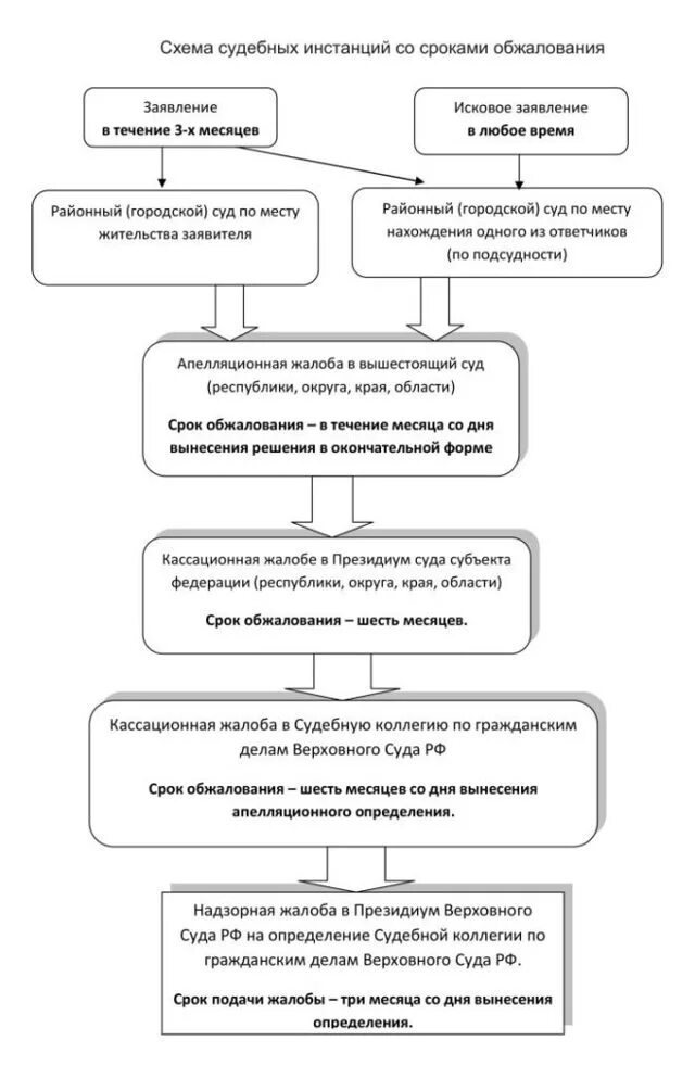 Сроки апелляционного обжалования приговора суда. Порядок обжалования судебных решений схема. Схема обжалования судебных решений по гражданским делам. Схема обжалования решения районного суда. Порядок обжалования решения районного судьи схема.