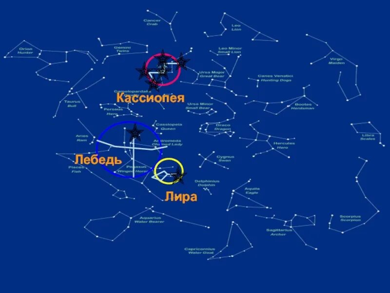 Проект кассиопея в воронеже и их картины Кассиопея ютуб: найдено 85 картинок