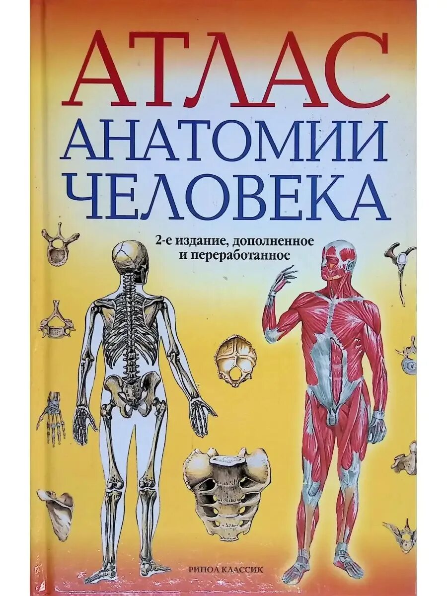 Общий курс анатомии. Атлас анатомии человека рипол классик. атлас анатомии человека 2009 марысаев. анатомия человека атла. атлас по анатомии.