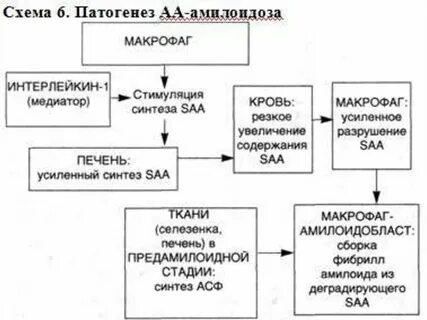 Механизм амилоидоза