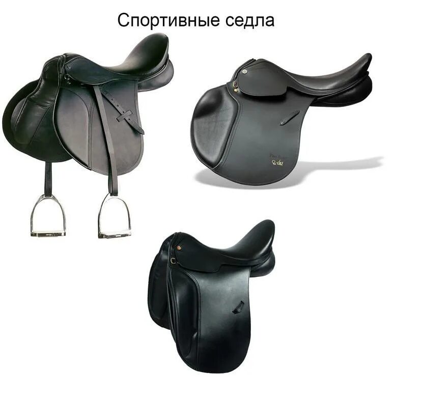 Седло разбор. Седло для лошади. название седел для лошадей. конструкция седла для лошади.