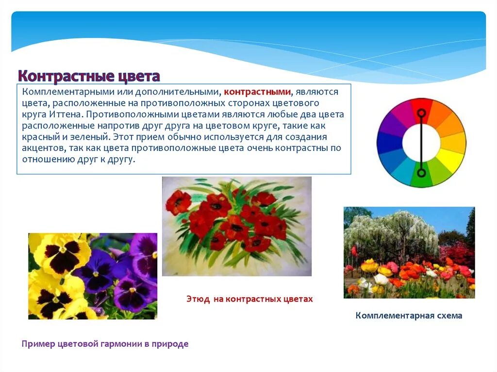 Правила использования цветов. Контраст дополнительных цветов. цветок контрастных цветов. примеры контрастных цветов. контраст дополнительных цветов примеры.