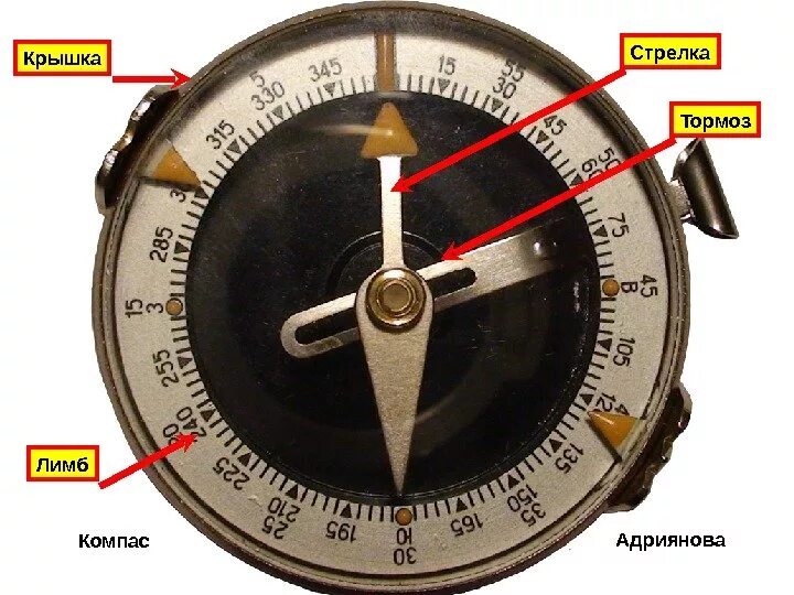 Лимб компаса. Стрелка компаса. Стрелочный компас. Компас стрелка компаса.