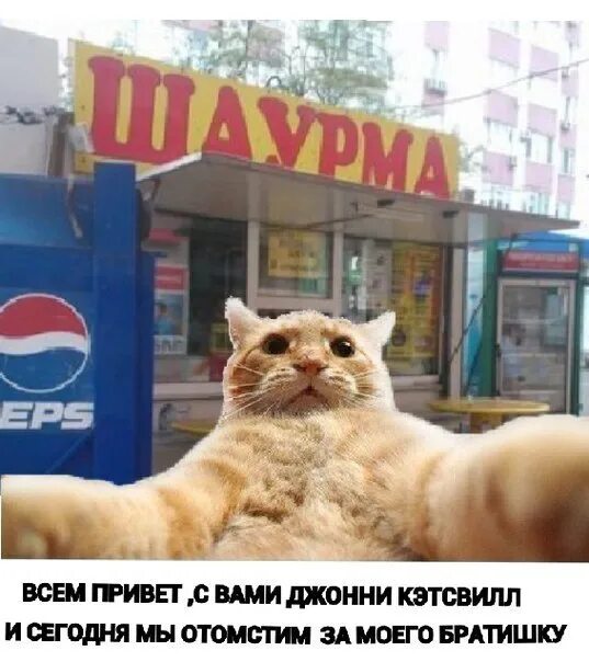 Джонни кэтсвил и новый год мем Привет, я Джонни Кэтсвилл! Фотография 32 из 48 ВКонтакте