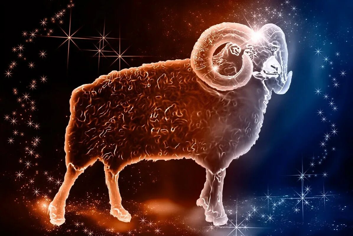 Овен зодиак. Овен ариес. Огненный баран. Овен фото. Aries (овен).