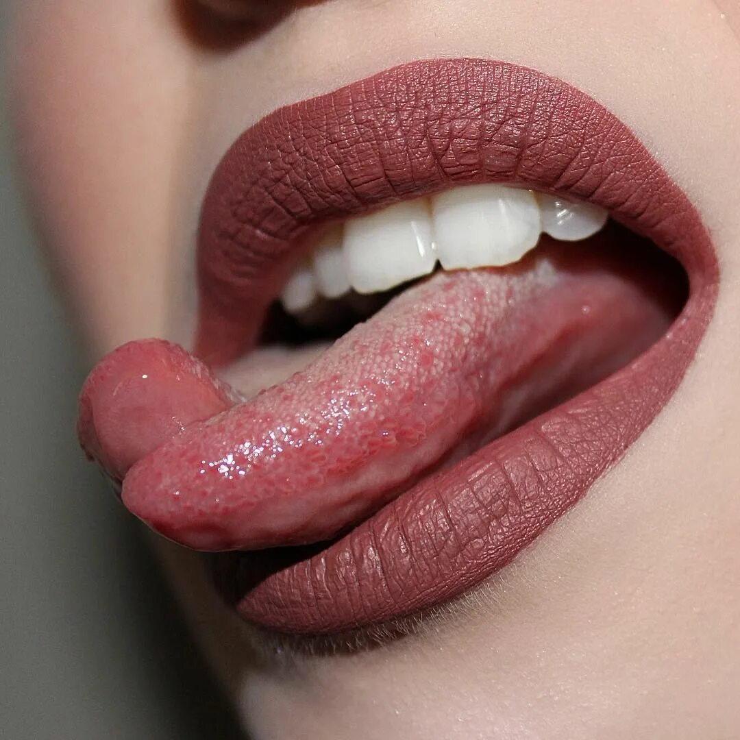 Язык без костей. Орган вкуса строение и функции. Ротовая полость строение анатомия зубов. Язык без костей фразеологизм. Устная речь и письменная речь.