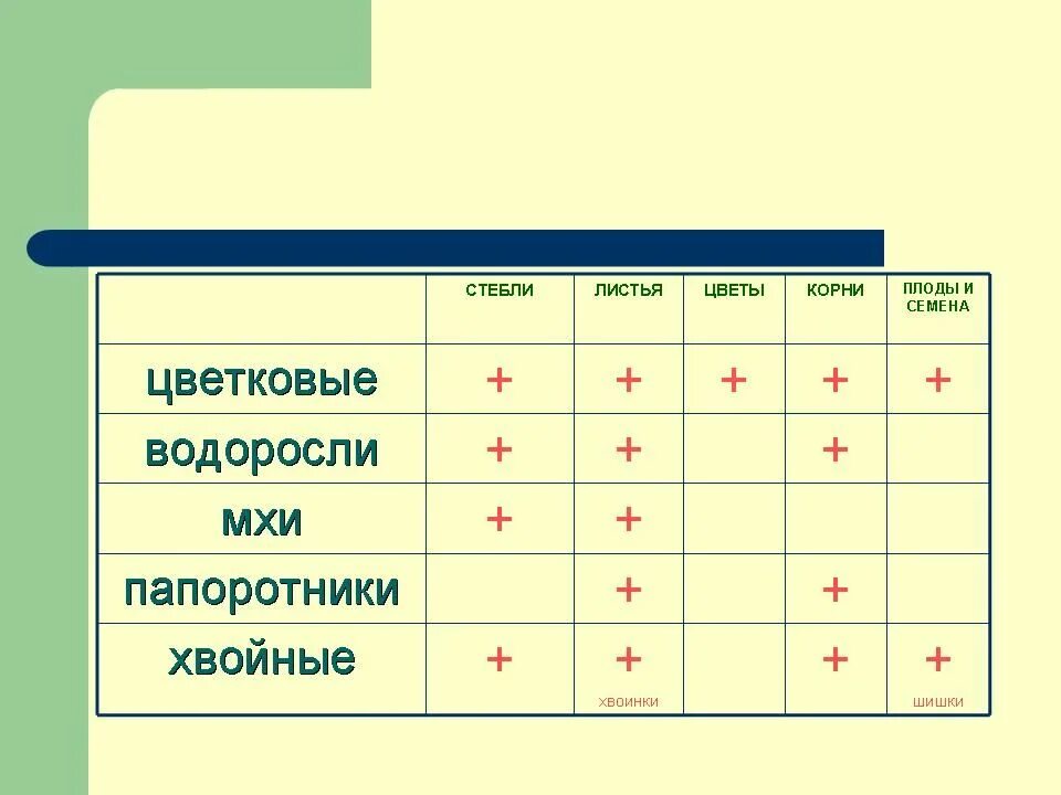 Водоросли имеют корни стебли листья. Водоросли мхи папоротники хвойные. Водоросли мхи папоротники хвойные цветковые таблица. Заполни таблицу цветковые водоросли мхи папоротники хвойные. Таблица водоросли мхи папоротники хвойные цветковые растения.