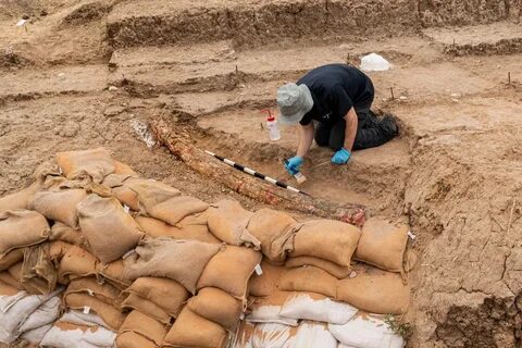 Archaeological dig