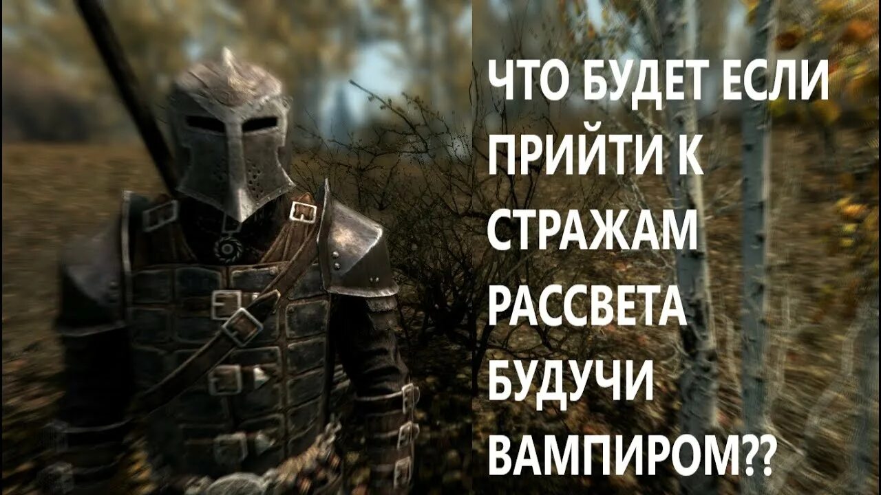 Легкая броня стражи рассвета. Skyrim стражи рассвета. Страж рассвета. Поговорить с стражем рассвета. Skyrim стражи рассвета.