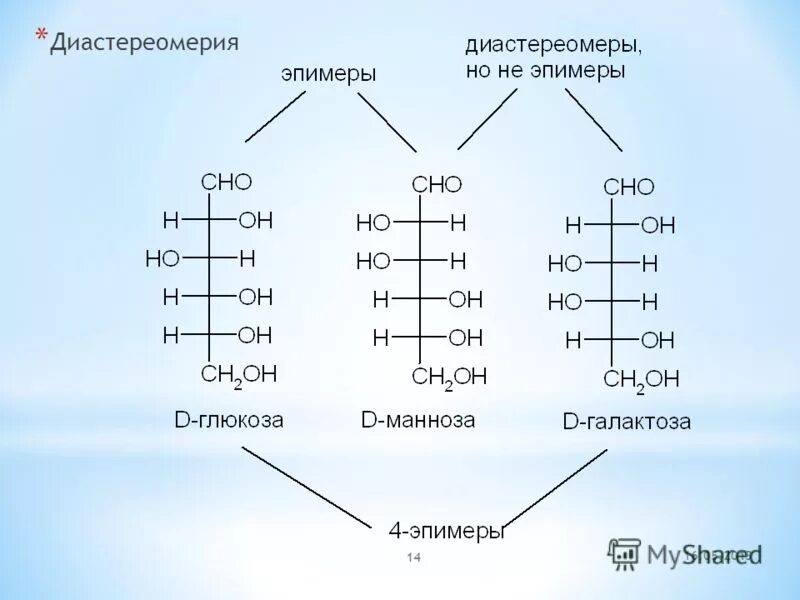 Тест 2 углеводы