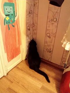 Кот в угле