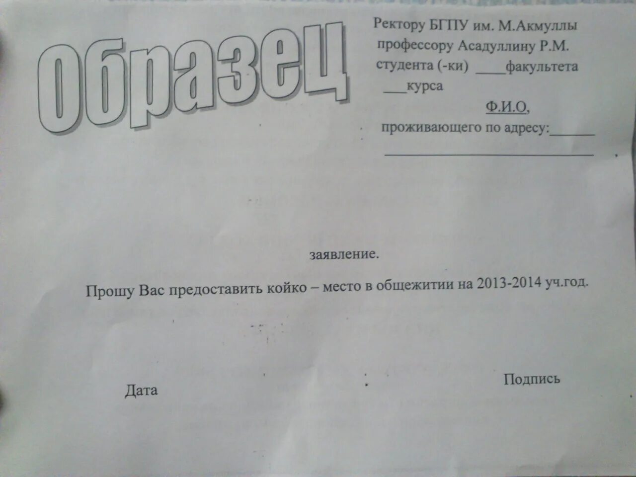 Пример заявления на общежитие. Ходатайство на комнату в общежитие образец. Ходатайство на комнату в общежитии. Ходатайство на проживание в общежитии.