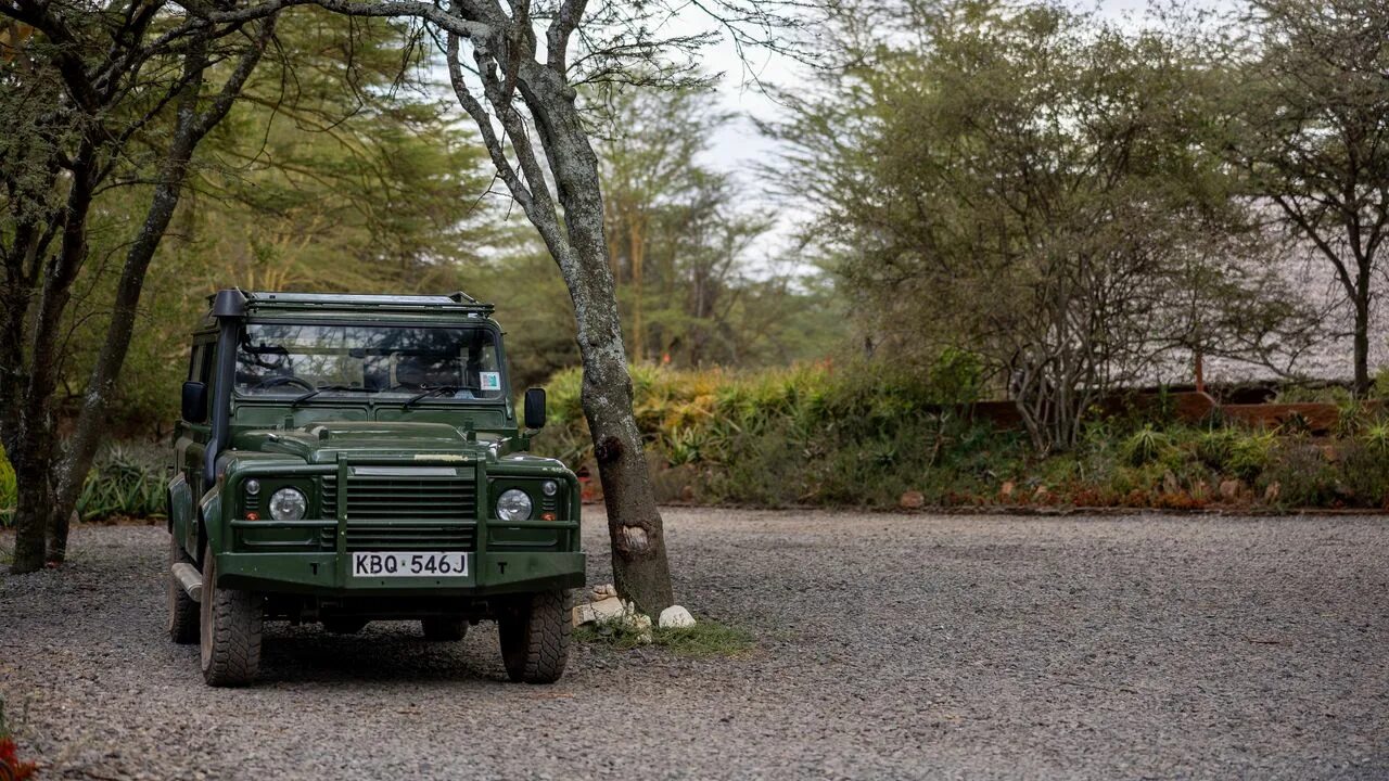 Defender safari. Ленд Ровер сафари. Ленд Ровер Дефендер 2011. Нива под ленд Ровер Дефендер. Ленд Ровер Дефендер черный.