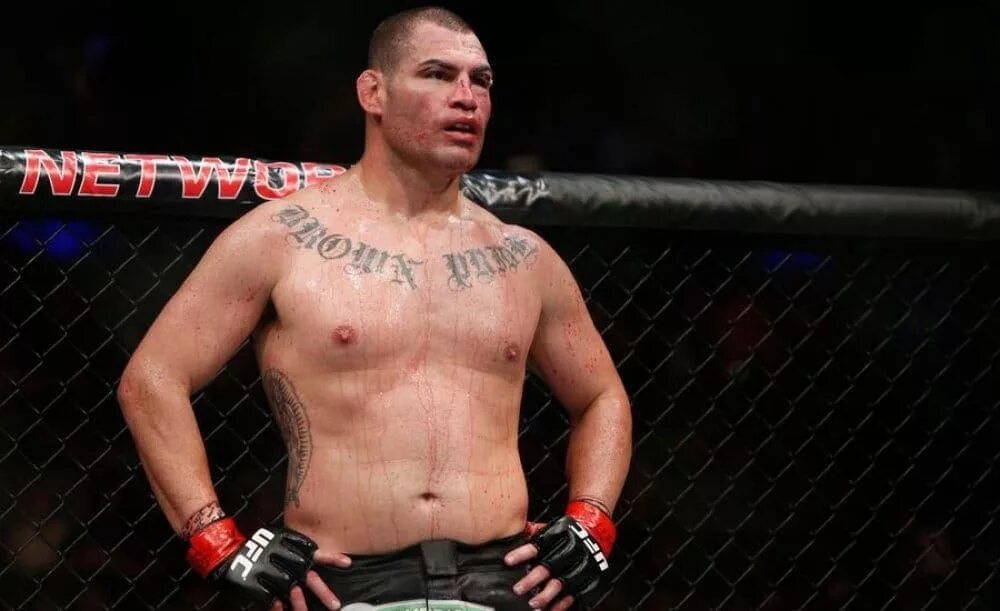 Кейн веласкес чемпион юфс. Cain velasquez. Cain velasquez. Cain velasquez. Кейн веласкес.