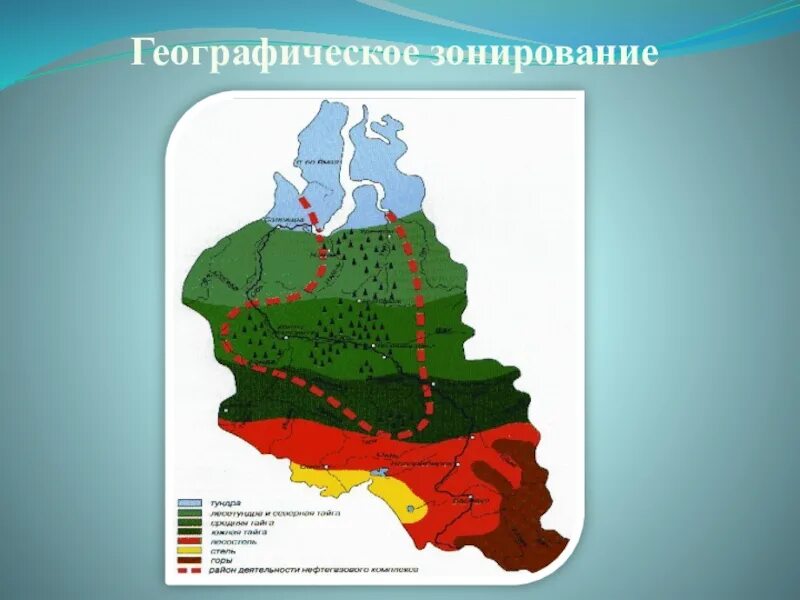 Западно сибирская равнина какая природная зона. Природные зоны Западно сибирской равнины на карте. Природные зоны Западно сибирской равнины. Климатические зоны Западно сибирской равнины. Природные зоны Западно сибирской равнины с севера на Юг.