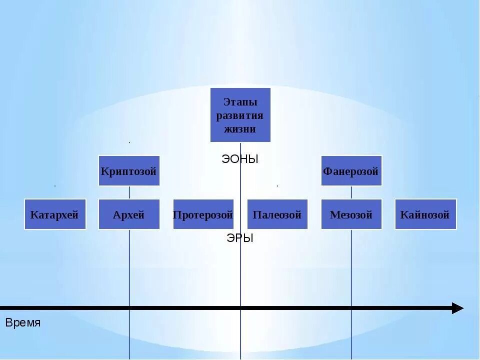 Этапы развития жизни. Этапы развития жизни на земле. Этапы развития жизни на земле эоны. Схема формирования жизни.