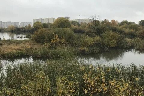 Озеро черное некрасовка