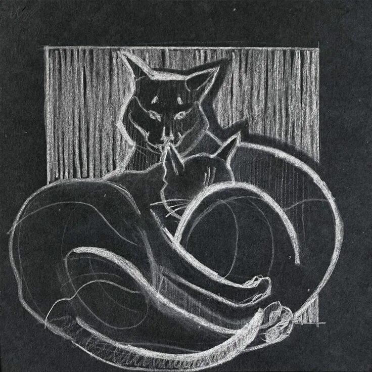 Линейный кот. Линейный кот