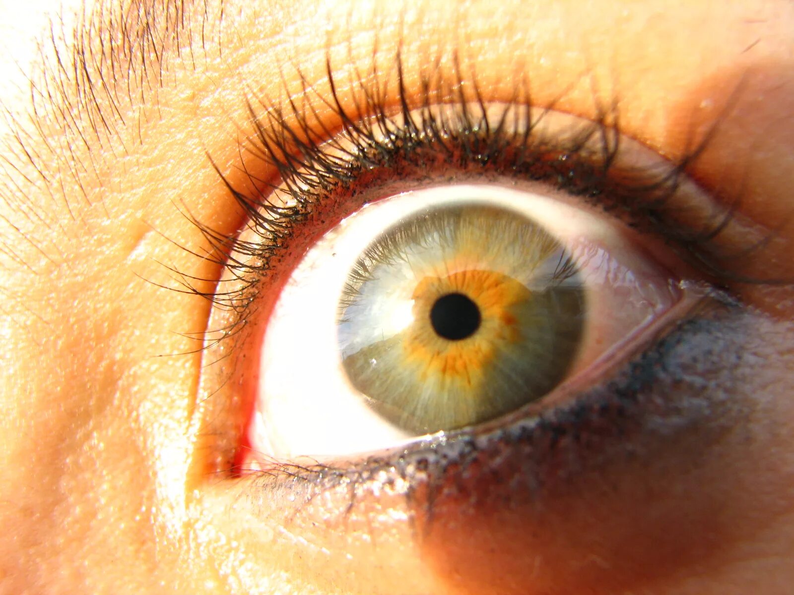Оранжевые глазки. Жёлто-зелёный цвет глаз. Зелено оранжевые глаза. Глаз человека. Желтые глаза.