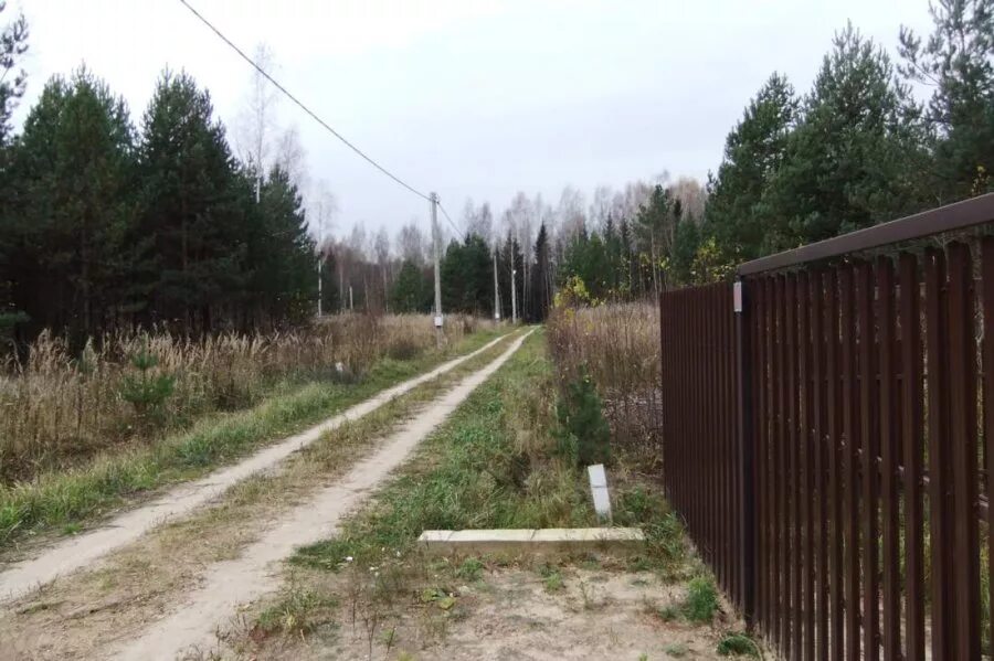 Снт клен фото. Снт шунгорово 1. Снт клен кольцово. Участки снт клен. Участки снт клен.