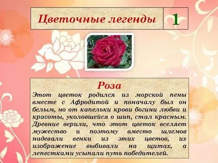 Кто создал цветы