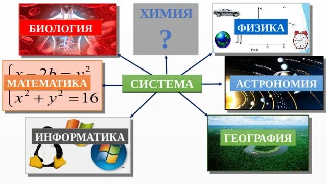 География биология математика