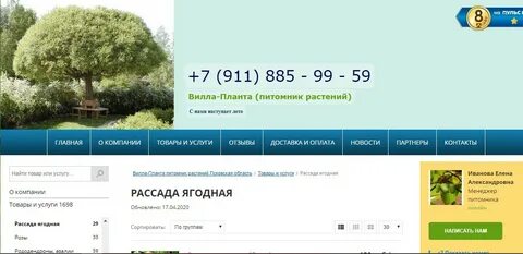 Зеленый остров псков каталог