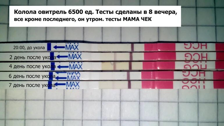 Тест делать вечером. Тесты после овитреля. Тесты после оплодотворения. Тесты на беременность после укола Овитрель. Тесты по дням после укола ХГЧ.