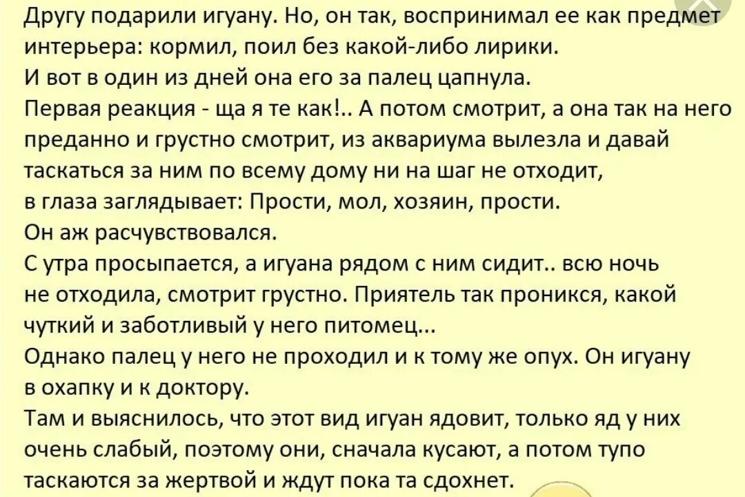 Анекдоты. Убойный юмор анекдоты. Подарила мужу костюм тройку. Анекдот про подарили. История про игуану которая укусила.