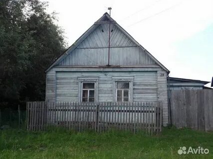 Авито стародуб