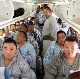 Sumo wrestlers on a plane as they make their way to a training camp 