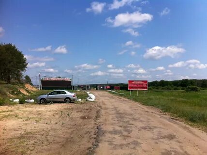 Сосновый бор воронеж