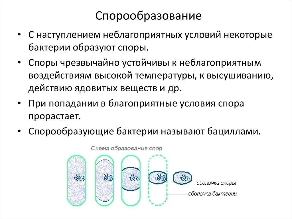 Что значит обнаружены споры