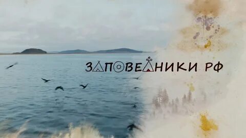 Заповедник телепередача