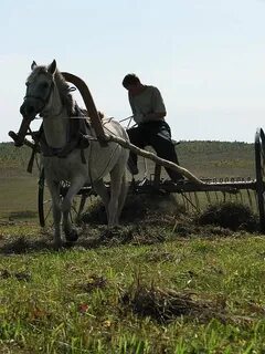 Иркутская область баяндаевский