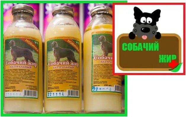 Как принимать собачий жир. Собачий жир. собачий жир от туберкулеза. лекарство собачий жир. собачий жир для легких при туберкулезе.