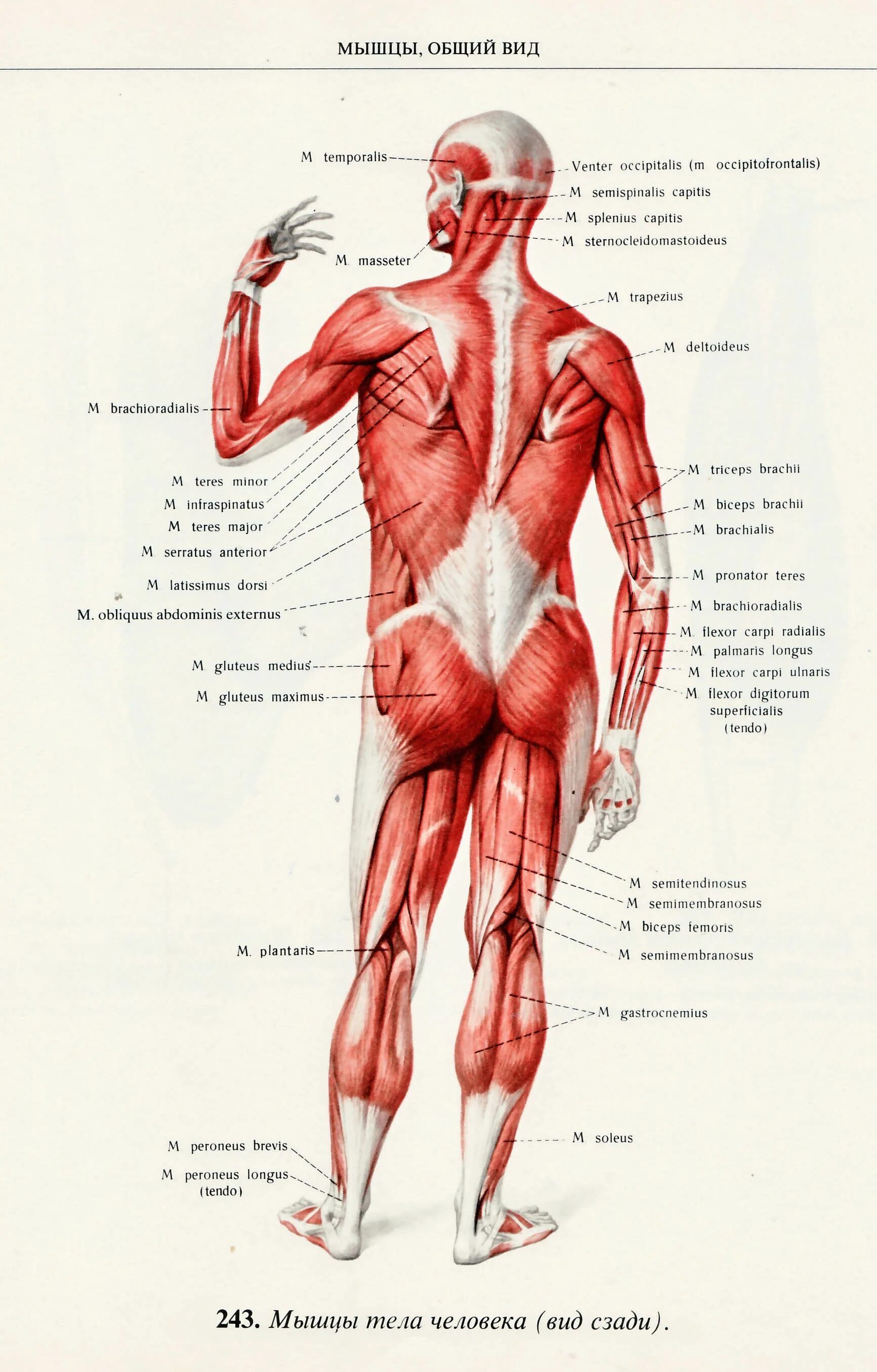 бизнес-процессы систем управления проектами. психологические явления примеры. человек который описывает процессы. эффективная схема взаимодействия в команде. человек который описывает процессы.