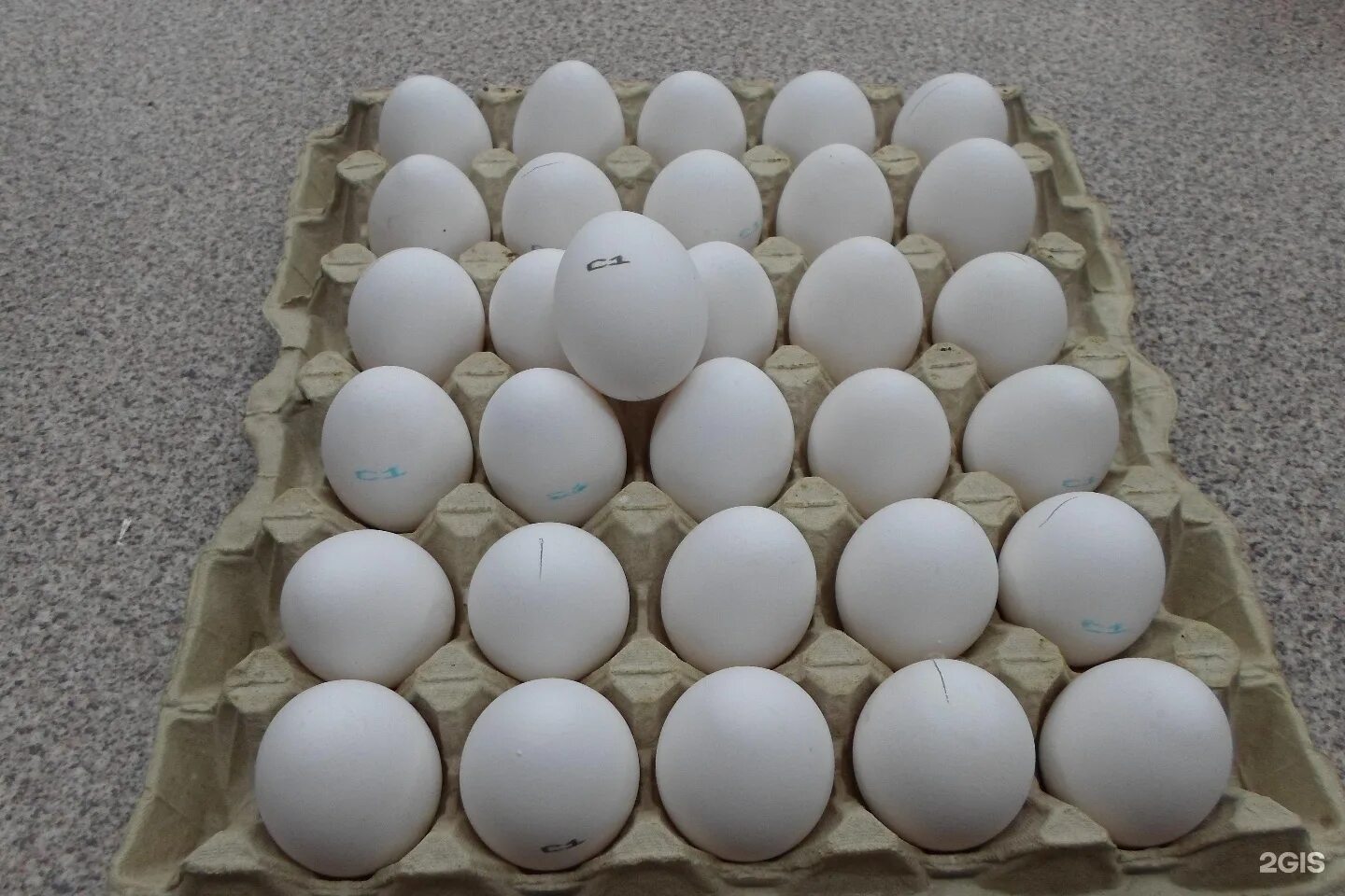 Яйцо 1 категории. Яйцо (пищевой продукт). Яйцо тенге. Яйцо Свердловское. Купить яйца в свердловской области
