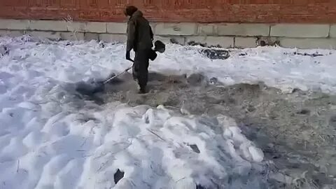 Косим зимой траву