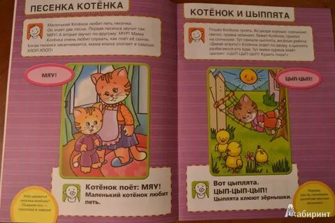 История 1 котенка