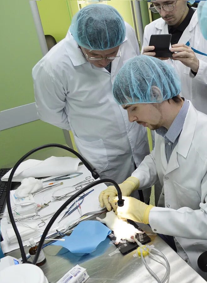 Эндоваскулярный хирург. Кирилл алмазов санкт-петербург. Записаться к терапевту в поликлинику. Центр алмазова нейрохирургия. Центр алмазова санкт-петербург кардиохирургия.