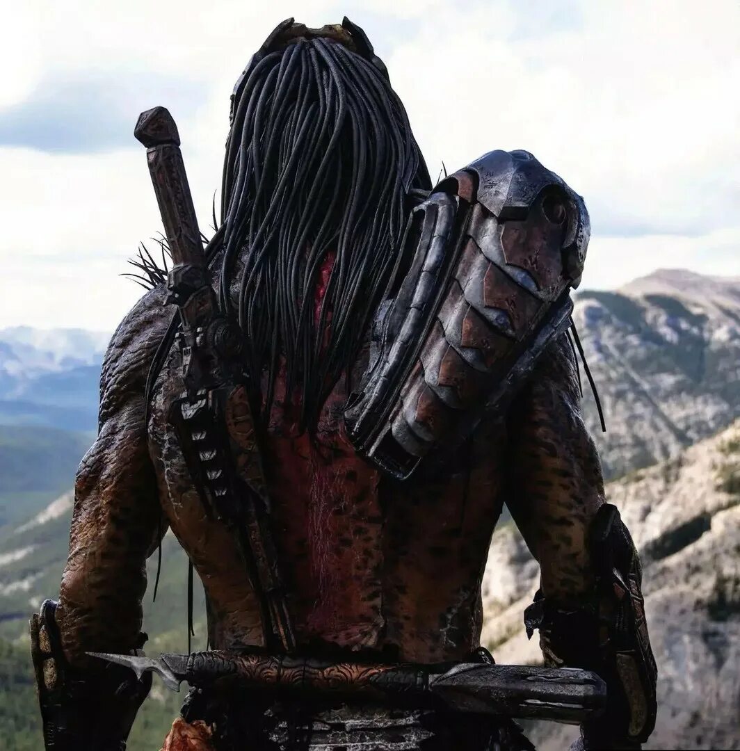 хищник 6 дата