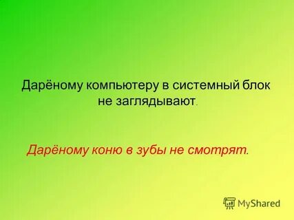 Дареному коню на зубы не смотрят