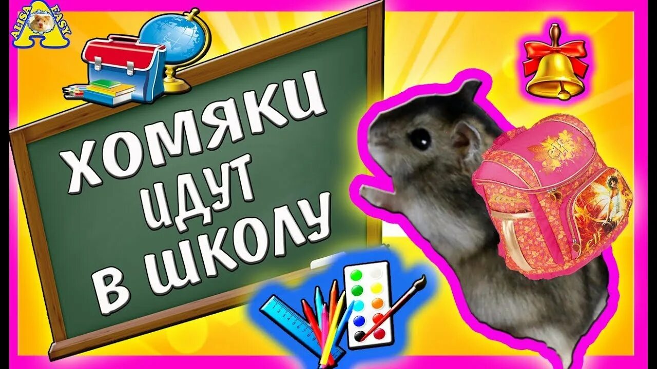 Алису изи петс. Алиса ИЗИ петс. Хомки шоу школьный день. Хома школа. Алиса ИЗИ Pets хомяки сказки.