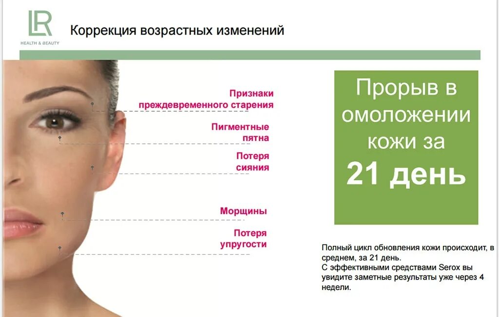 Сроки восстановления клеток организма. Сколько живут разные типы клеток человека. Как часто обновляется кожа. Цикл обновления кожи. Физиологическая регенерация эпидермиса.