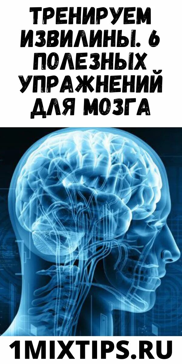 Серые клетки мозга. Мотивированный мозг. Тренировка мозга. Неврология. Психолог Testleri Surat.