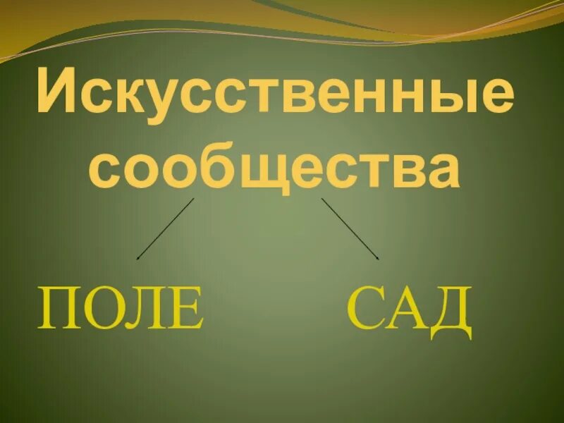 Природное сообщество поле 5 класс. Искусственные сообщества. Искусственное сообщество поле. Искусственные природные сообщества. Искусственные сообщества биология 5 класс.