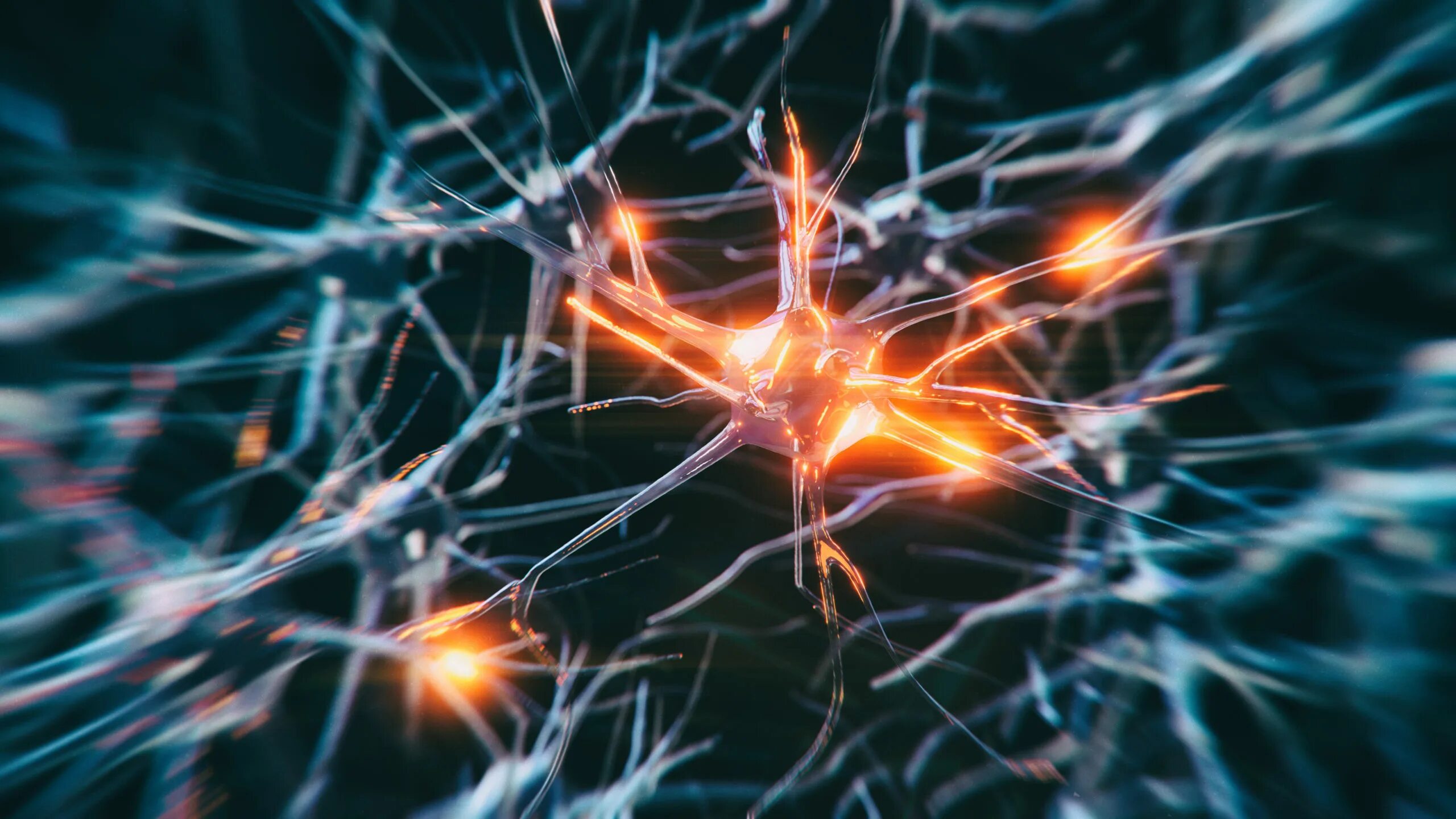 Neural system