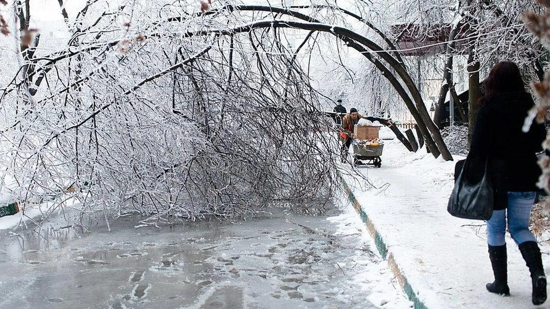 2010 декабрь 23. Ледяной дождь в Москве 2010. Ледяной дождь в России 2010 год. Ледяной дождь в Подмосковье в 2010. Ледяной дождь в России (2010 г, декабрь).